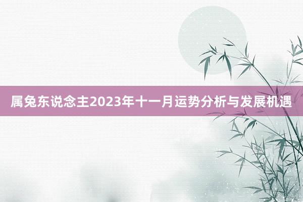 属兔东说念主2023年十一月运势分析与发展机遇