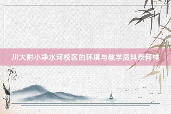 川大附小净水河校区的环境与教学质料奈何样